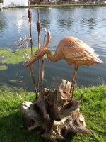 n. Hunting Heron Root.jpg